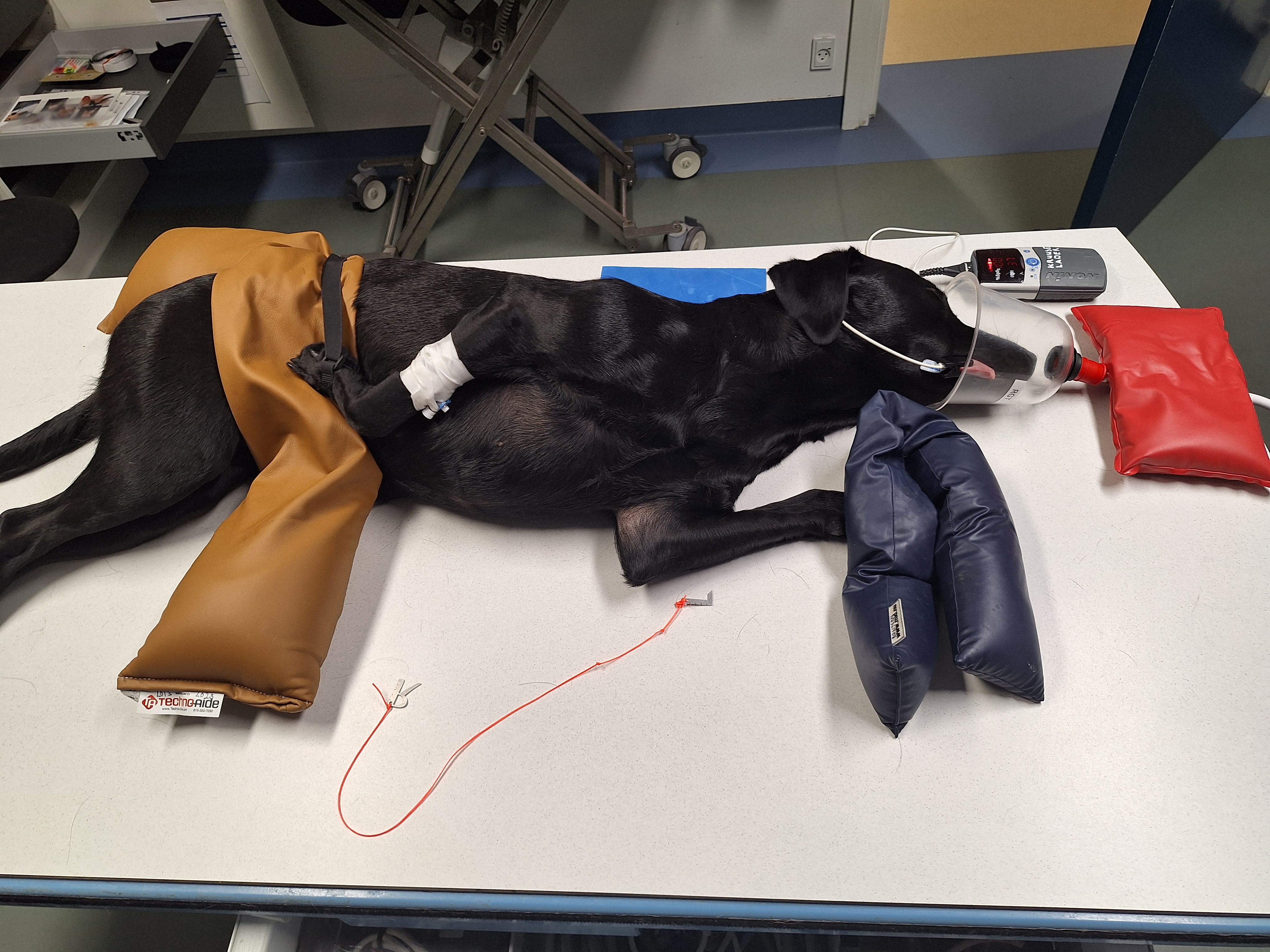 Håndfri albuerøntgen; detektor sikret med skumkiler