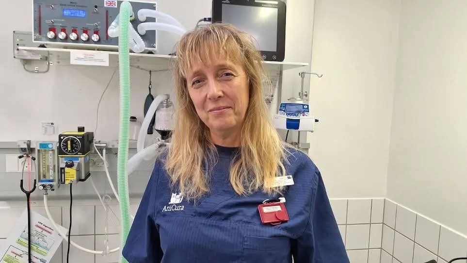 Portræt af Liselotte Nielsen