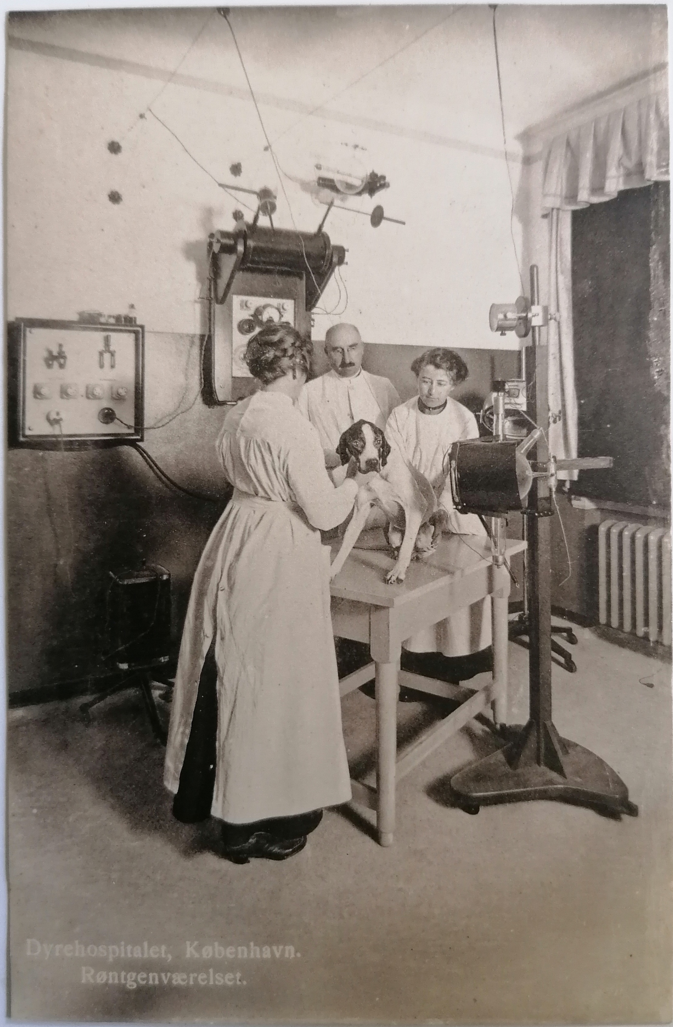 Københavns Dyrehospital ca. 1915 — tidlig veterinærrøntgen i Danmark