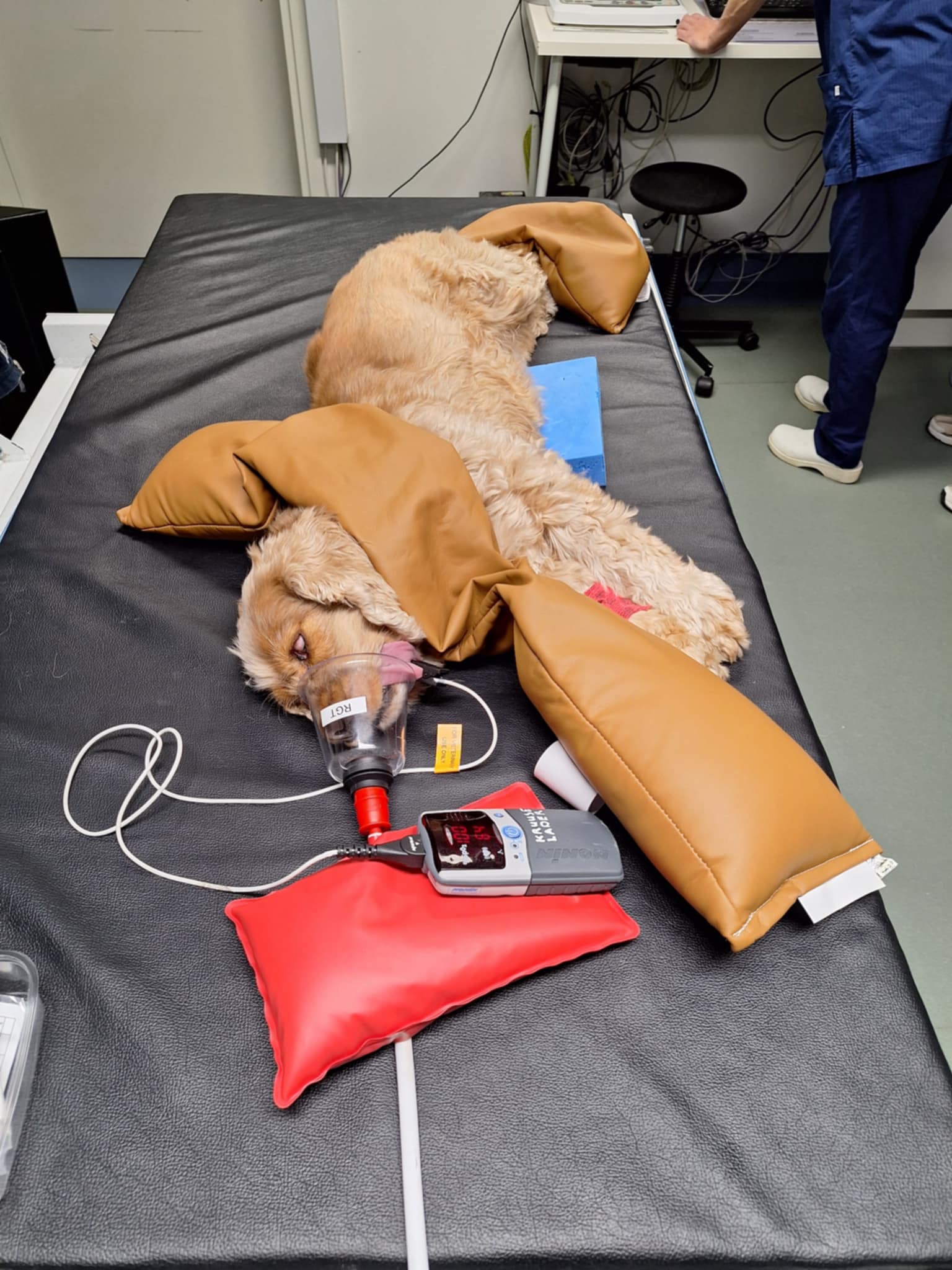 Rygoptagelse i sideleje med sandposer